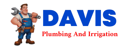 Trusted plumber in CASTLE POINT